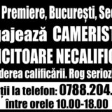 Camerista si muncitoare necalificata